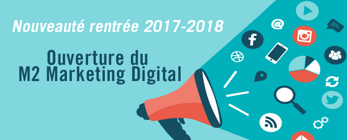 M2 Marketing digital IAE Toulouse